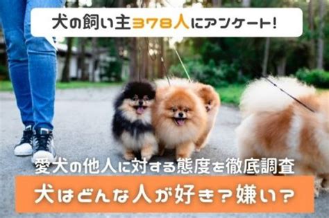 「犬は犬好きの人がわかる」ってホント？わんちゃんの特性を徹底調査♡ Cancamjp（キャンキャン）