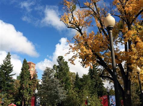 CSU Chico campus, fall 2013. | Outdoor photography, Chico, Photography