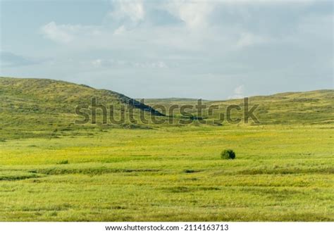 Temperate Grasslands Biome Royalty-Free Images, Stock Photos & Pictures | Shutterstock