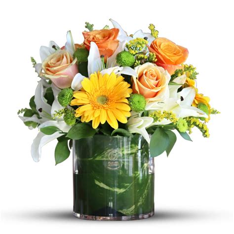 Lilly Flower | Send Lilly Flower Arrangement Online.