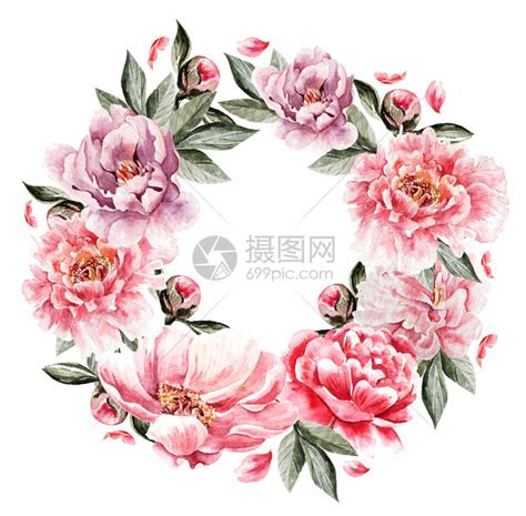 美丽的水彩卡片与牡丹花婚礼花环插画图片下载 正版图片502732340 摄图网