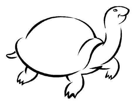 Раскраски Черепахи - Сайт для мам малышей