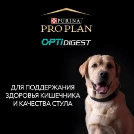 Pro Plan Adult Small&Mini OptiDigest Lamb (Проплан корм для собак ...