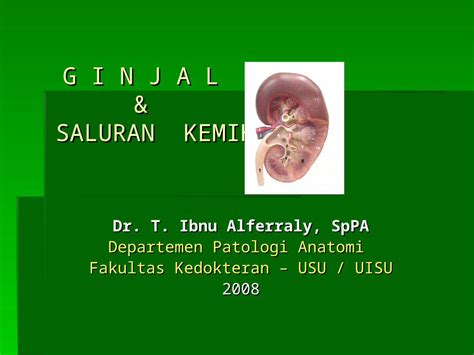 (PPT) NEPHROPATHOLOGY - DOKUMEN.TIPS