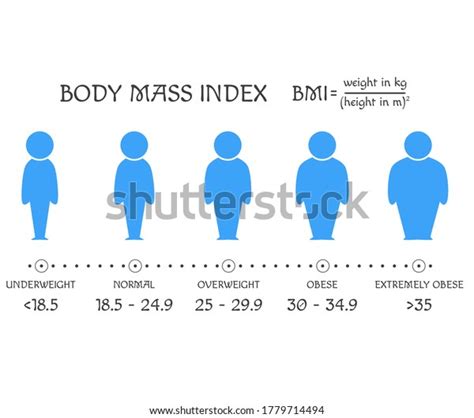 Bmi Concept Body Shapes Underweight Extremely Stock Vector (Royalty ...