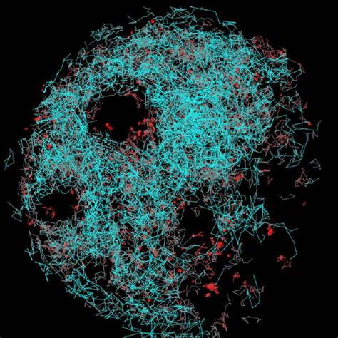 Single Molecule Imaging Learn Teledyne Photometrics