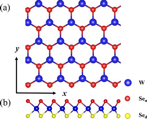 Top And Side Views Of Single Layer Wse2 Configuration The Top And Download Scientific Diagram