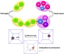 The Correlation Between The Micelle Morphology Of Surface Active Ionic