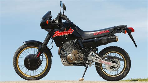 Honda NX 650 Dominator Im Check MOTORRADonline De