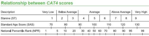 Cat Test Results Explained A Full Guide For The Exam Off