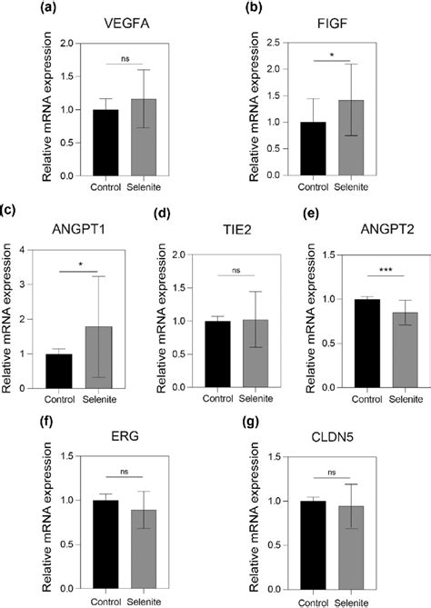 Relative Gene Expression Analysis By Quantitative Rt Pcr The Mrna