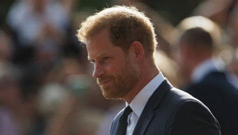 Les M Moires Du Prince Harry Un Territoire Enti Rement Nouveau Pour