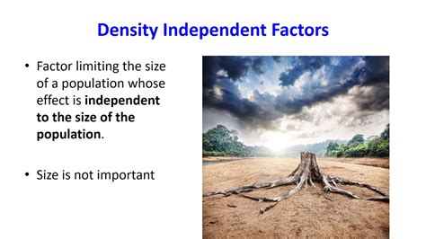 Density Dependent Factors