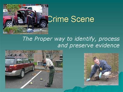 crime scene  proper   identify