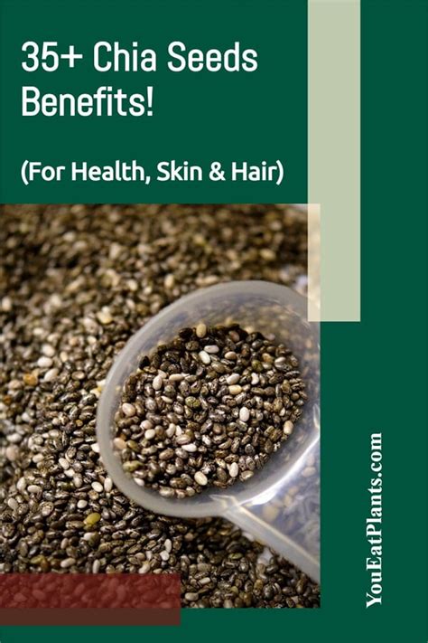 How To Soak Chia Seeds A Complete Guide