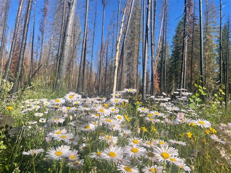 National Public Lands Day Volunteer Opportunities Skyhinews