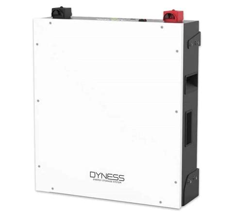 Batteria Al Litio Da 4 8 KWh Dyness A48100 Lauricella Impianti