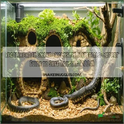 Recommended Snake Enclosure Materials: Expert Guide to Safe Housing (2024)