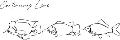 Fish Continuous Line Drawing Set 26485344 Vector Art At Vecteezy