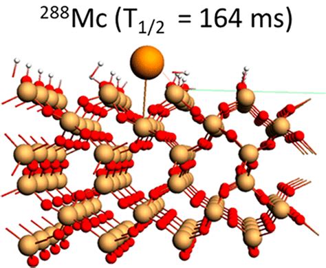 Reactivity Of The Superheavy Element Mc And Its Lighter Homologue