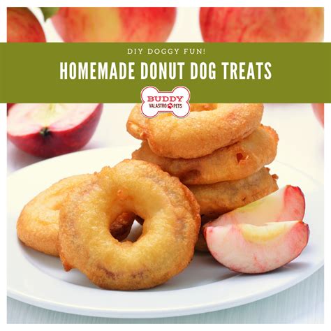 Homemade Doggy Donut Treats W Apples And Cinnamon