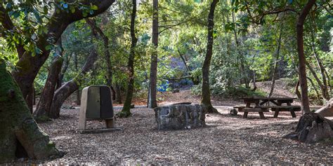 Uvas Canyon County Park Campground Outdoor Project