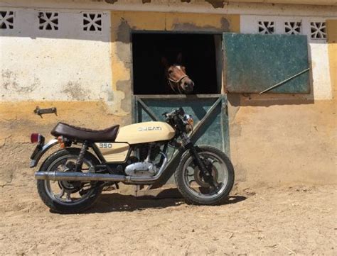 Cambiar Las Llantas De Una Moto Cafe Racer Donkey Motorbikes