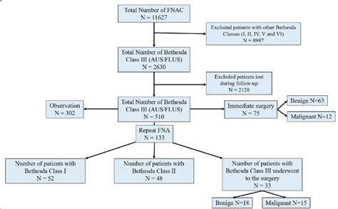 Flow Chart Of The Number Of Fine Needle Aspiration Cytology Fnac Download Scientific Diagram