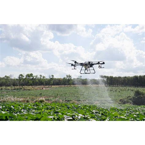 Dji Agras T Drone Pour L Agriculture Pandage Agricole