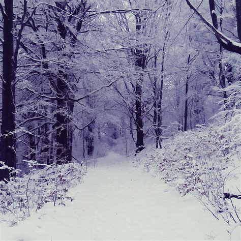 First Sylvester by my GF, Sylvester 2015, Germany, Hochwald, Erzgebirge ...