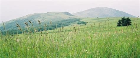 10 Highest Peaks on the Appalachian Trail