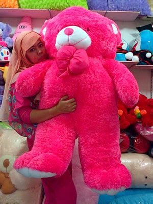 Gambar Boneka Teddy Bear Besar Warna Pink Ide Perpaduan Warna