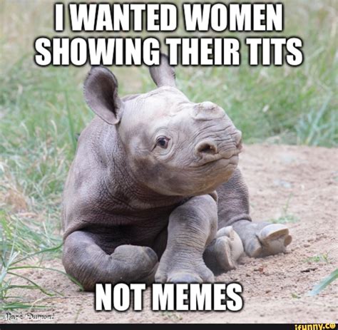 WANTED WOMEN SHOWING THEIR TITS NOT MEMES IFunny
