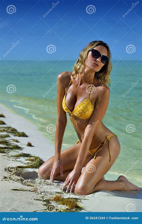 Bikini Model Posing In Front Of Camera Stock Photo Image Of Relaxing