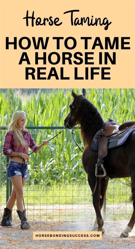 Taming a horse how to tame a horse in real life – Artofit