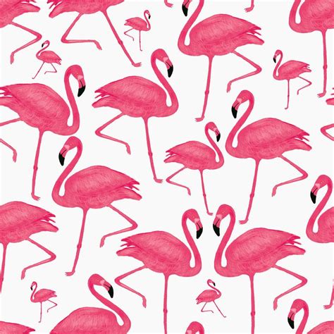 Pink Flamingos Lukisan Flamingo Kertas Dinding Wallpaper Ponsel