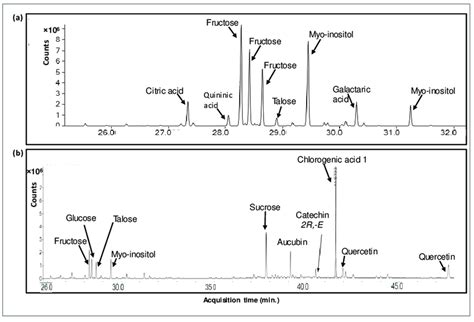 A Gcms Chromatogram Of A Metabolomic Analysis Of Pi Infusion The Pi