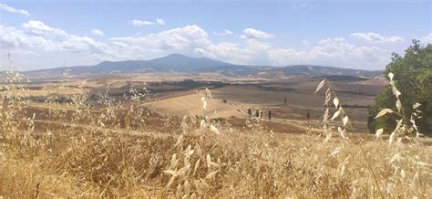 Emozioni In Val D Orcia Daniland