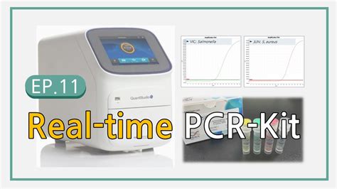 Real Time Pcr Kit Youtube