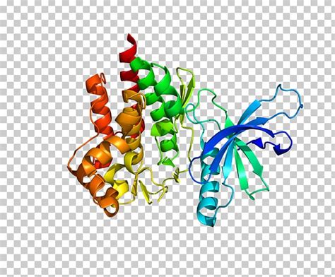 Tyrosine Kinase 2 Receptor Tyrosine Kinase PNG, Clipart, Art, Artwork ...