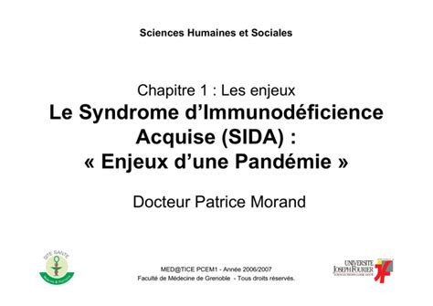 Le Syndrome D Immunod Ficience Acquise Sida Enjeux D Une