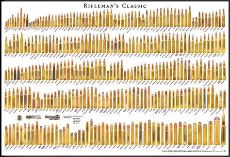 Cartridge Comparison Guide Guns Cartridges Standard Poster Size