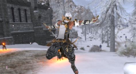 Flashy Ninja | Eorzea Collection