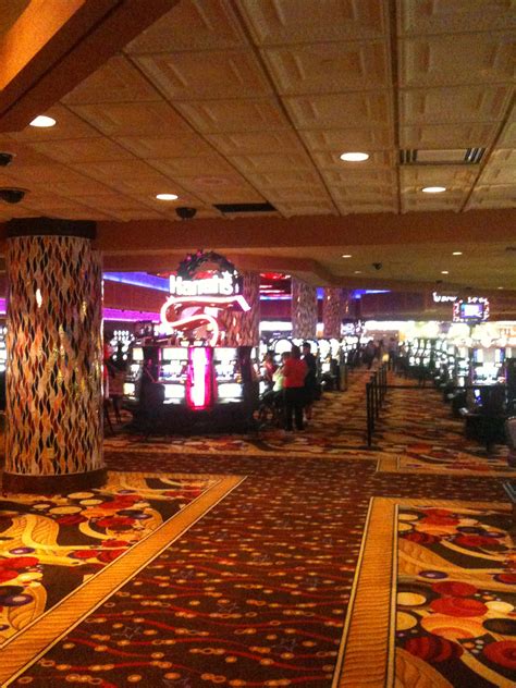 My Thursday Afternoon at Harrah’s Casino in Tunica 9.9.10 | DEENA'S DAYS