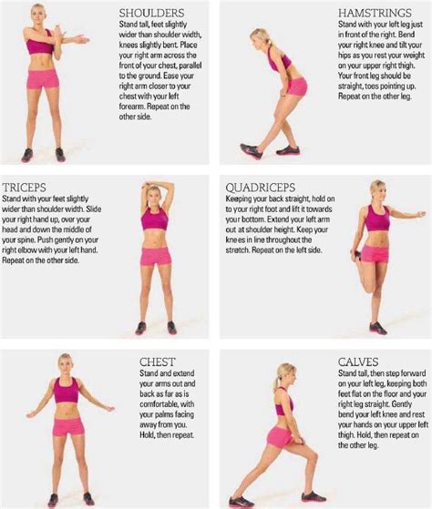 177 best images about Stretches, Warm-ups & Cool-downs! on Pinterest