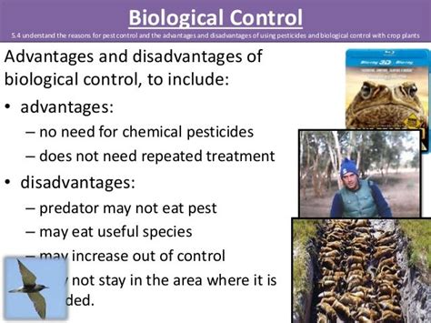 Igcse Biology Edexcel 5 1 5 9