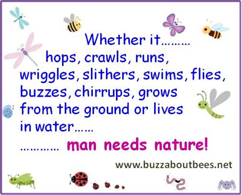 Bee Quotes And Proverbs