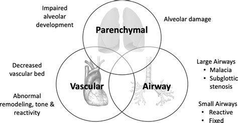 Bronchopulmonary Dysplasia Then Now And Next Pediatric Allergy