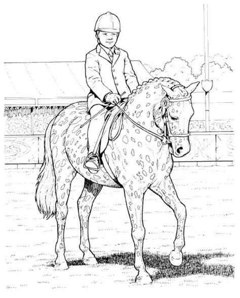 Show Jumping Horse Coloring Pages At Free Printable