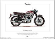 Triumph Pre Unit T R Bonneville